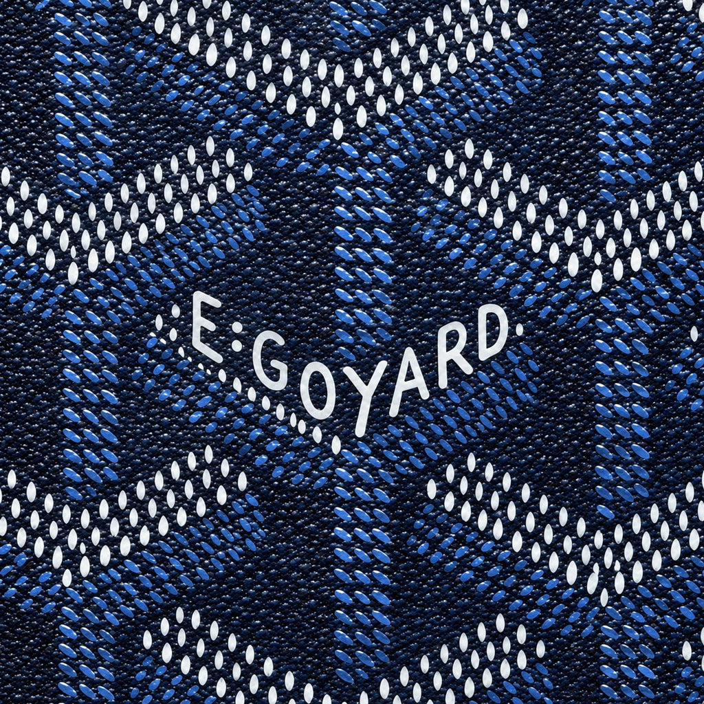 Goyard Backpack