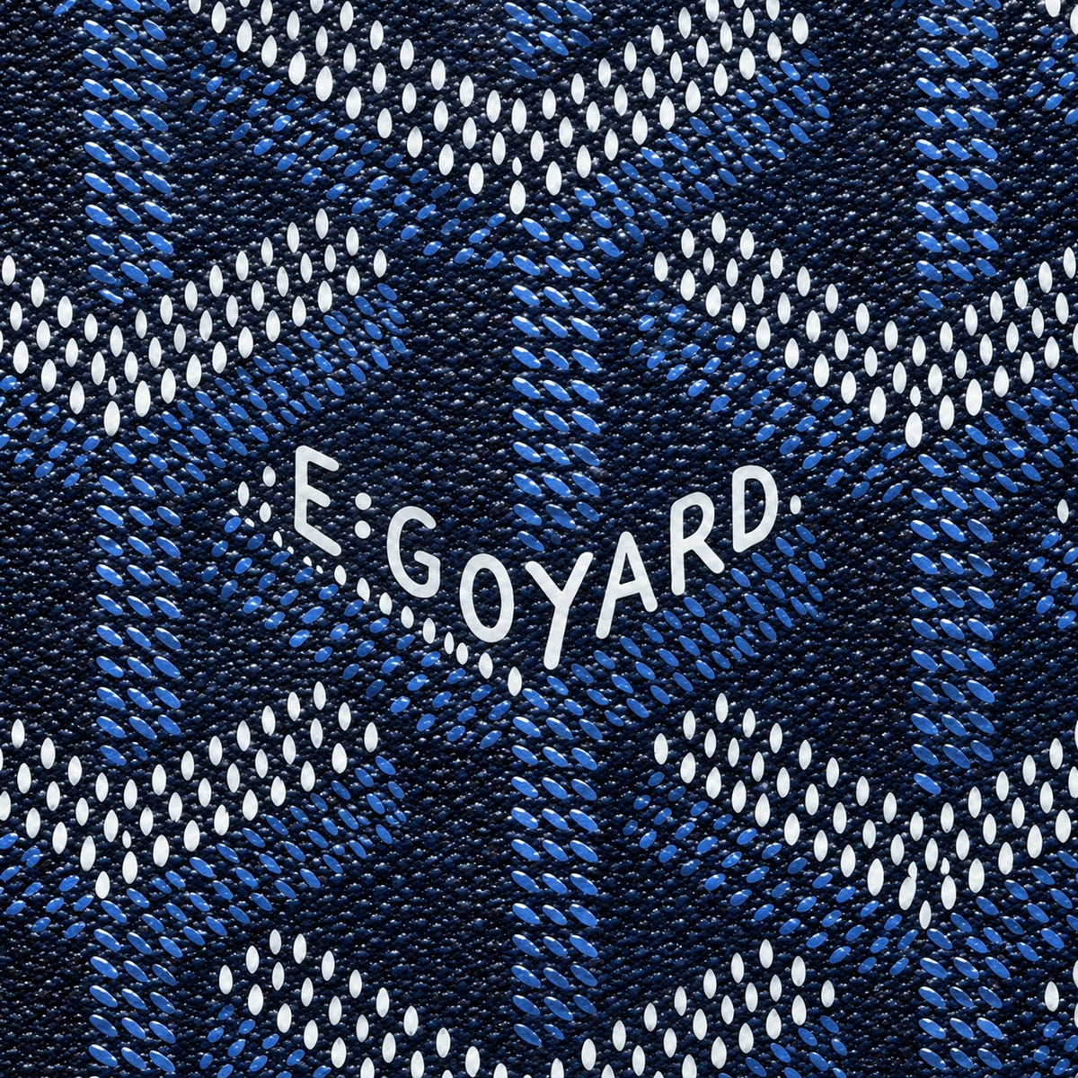 Goyard Backpack
