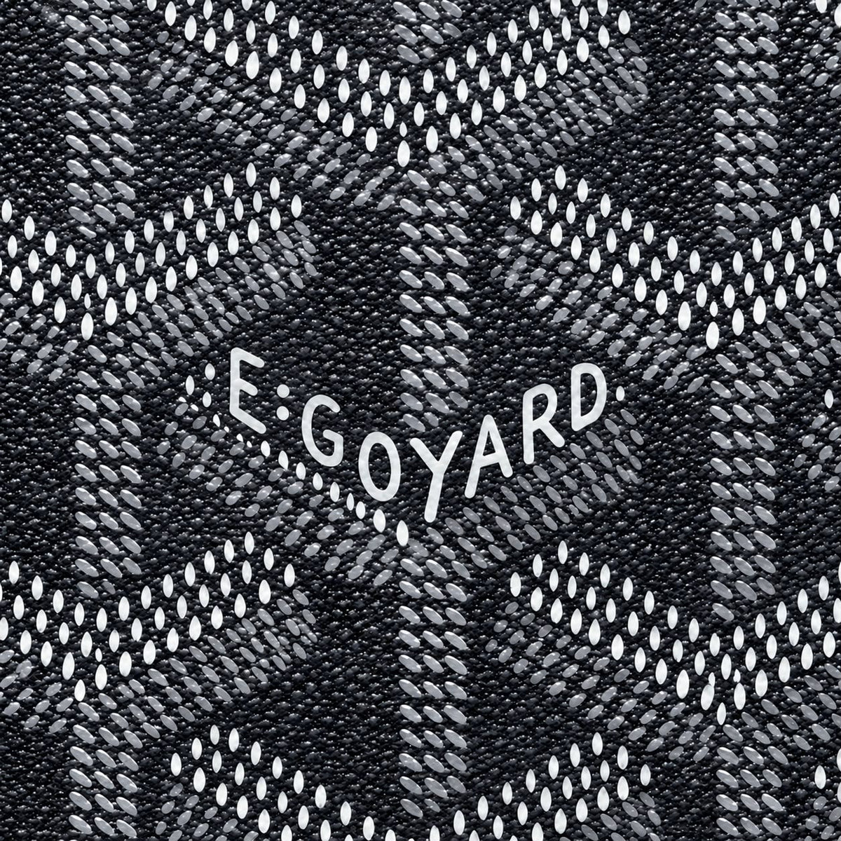 Goyard Backpack