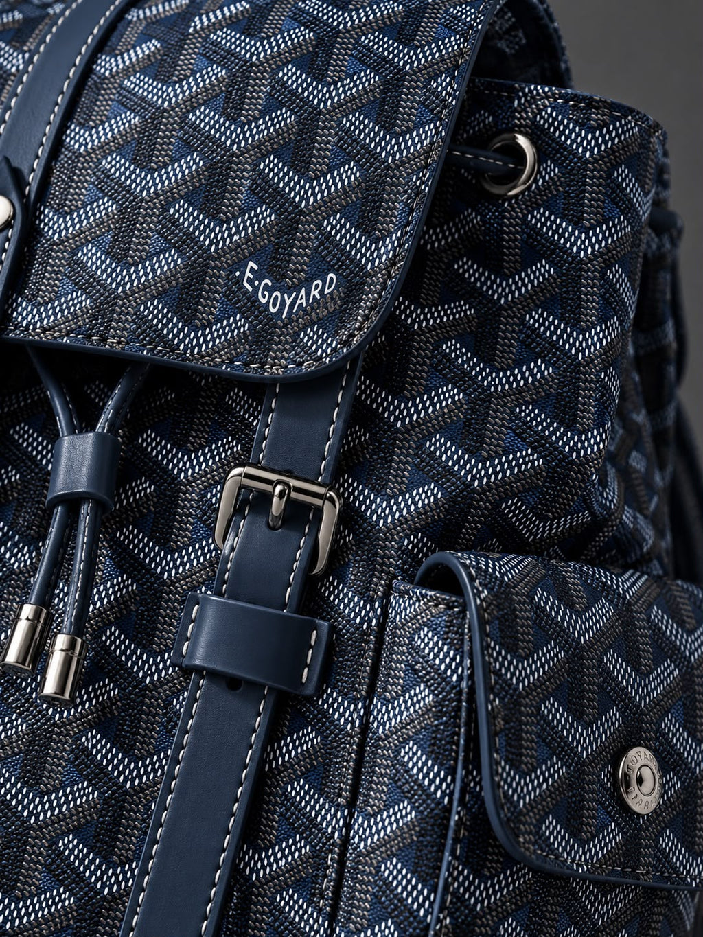 Goyard Backpack